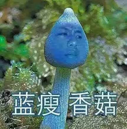 网红第一名：蓝瘦香菇（火爆指数：★★★★★）